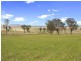 Armidale NSW 2350