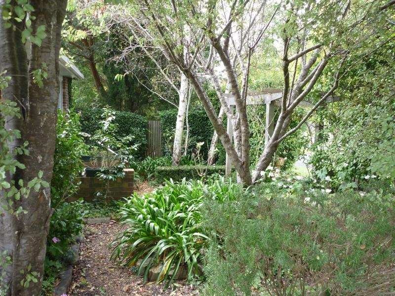 Armidale NSW 2350