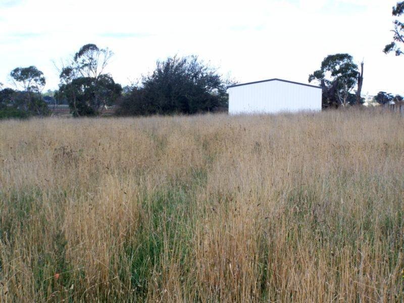 2 Lakeview Road, Guyra NSW 2365