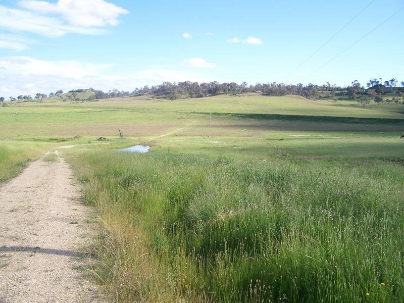 Armidale NSW 2350