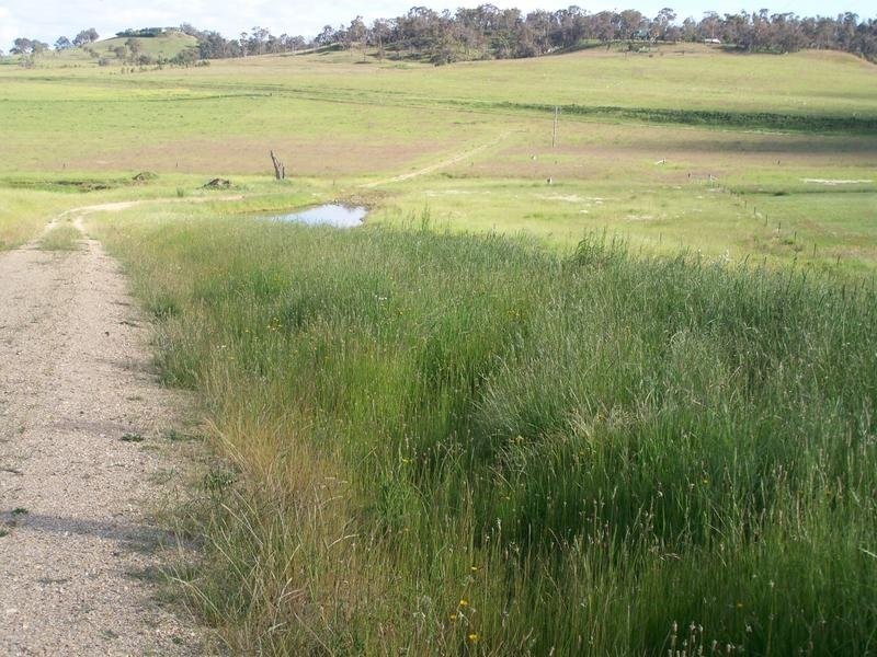 Armidale NSW 2350