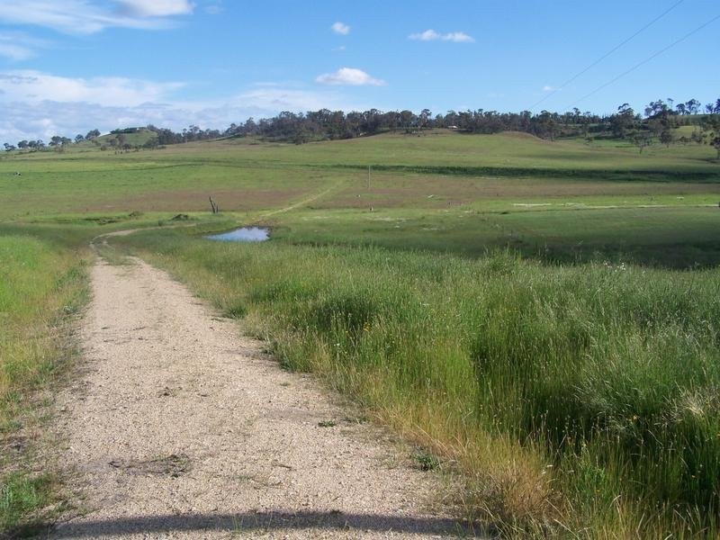Armidale NSW 2350
