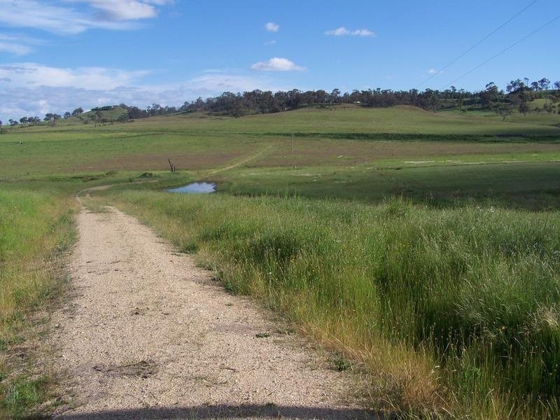 Armidale NSW 2350