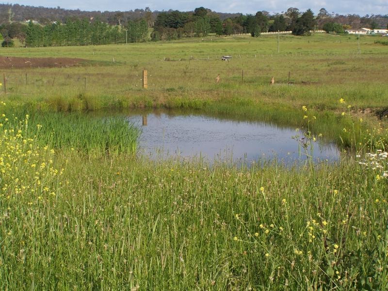 Armidale NSW 2350