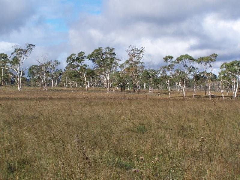 Kia Ora Road, Armidale NSW 2350