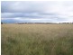 Kia Ora Road, Armidale NSW 2350