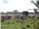 Kia Ora Road, Armidale NSW 2350