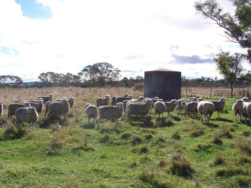 Kia Ora Road, Armidale NSW 2350