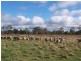 Kia Ora Road, Armidale NSW 2350