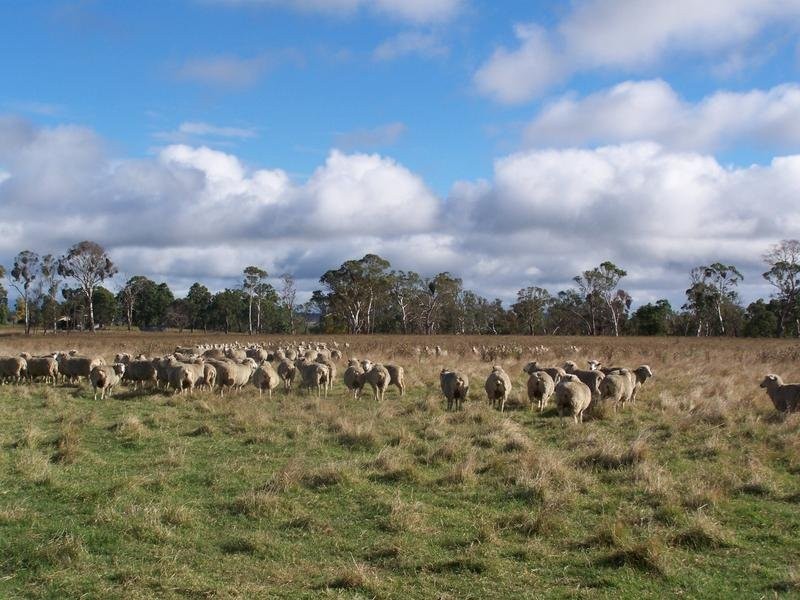 Kia Ora Road, Armidale NSW 2350