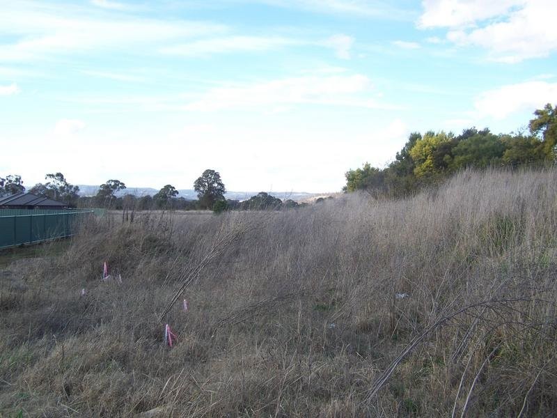 Armidale NSW 2350