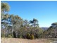 Armidale NSW 2350