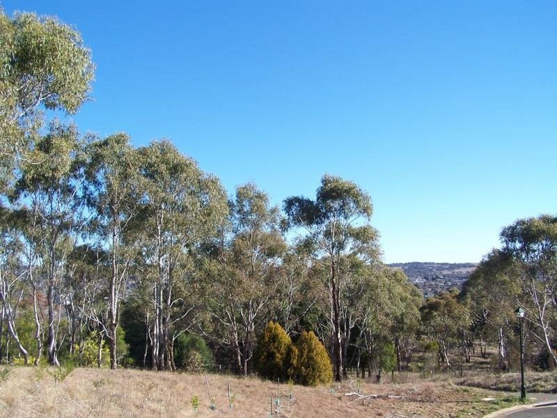 Armidale NSW 2350
