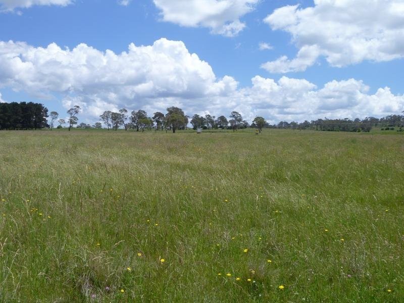 Lot 106 Old Gostwyck Park, Armidale NSW 2350