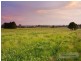 Lot 106 Old Gostwyck Park, Armidale NSW 2350