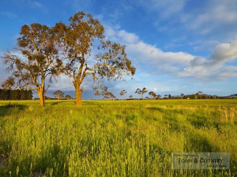 Lot 106 Old Gostwyck Park, Armidale NSW 2350