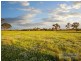 Lot 106 Old Gostwyck Park, Armidale NSW 2350
