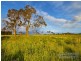 Lot 109 Old Gostwyck Park, Armidale NSW 2350