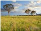 Lot 109 Old Gostwyck Park, Armidale NSW 2350