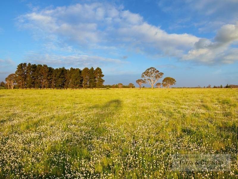 Lot 109 Old Gostwyck Park, Armidale NSW 2350