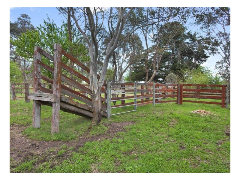 Armidale NSW 2350