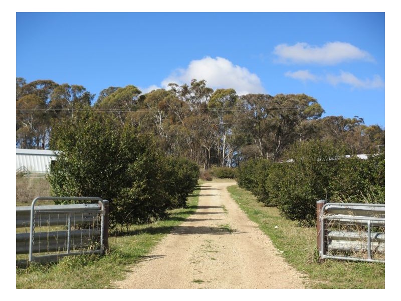 1011 Lagoon Road, Black Mountain NSW 2365