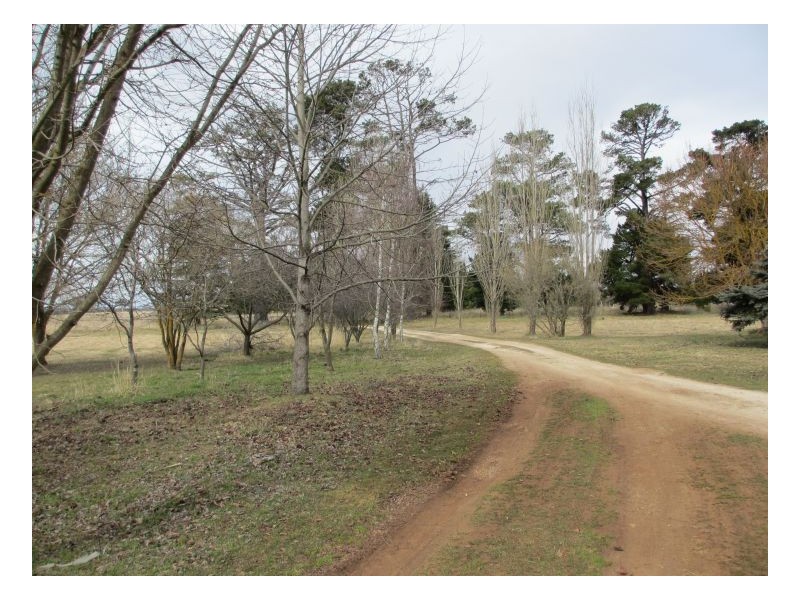 157 Llangothlin, Guyra NSW 2365