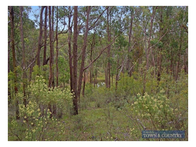 12175 New England Highway Armidale, Armidale NSW 2350