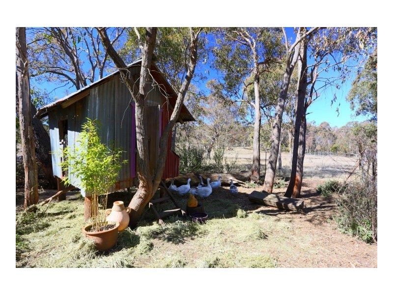 53 Budumba, Invergowrie NSW 2350