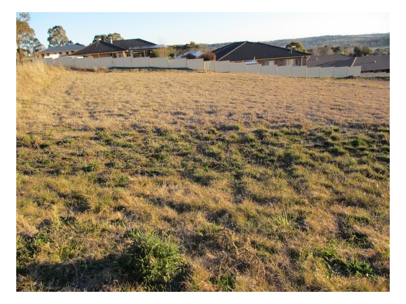 Lot 8 Grandview Crescent, Armidale NSW 2350