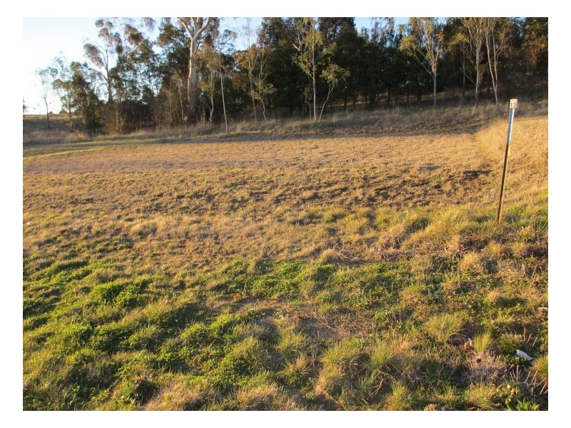 Lot 13 Grandview Crescent, Armidale NSW 2350