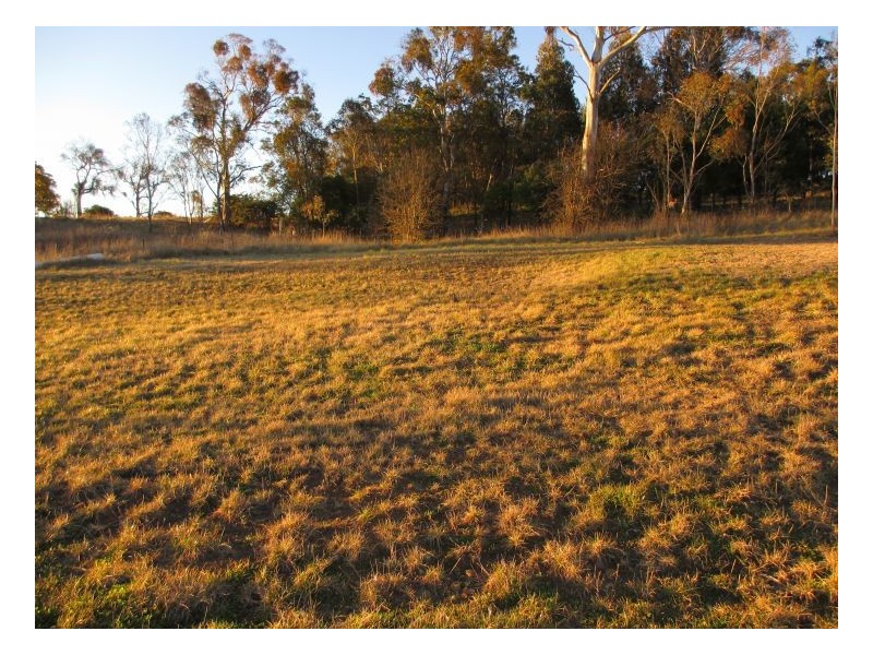 Lot 15 Grandview Crescent, Armidale NSW 2350