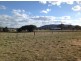 Varuna New England Highway, Armidale NSW 2350