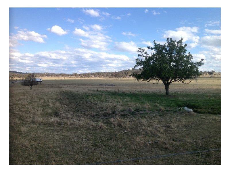 Varuna New England Highway, Armidale NSW 2350