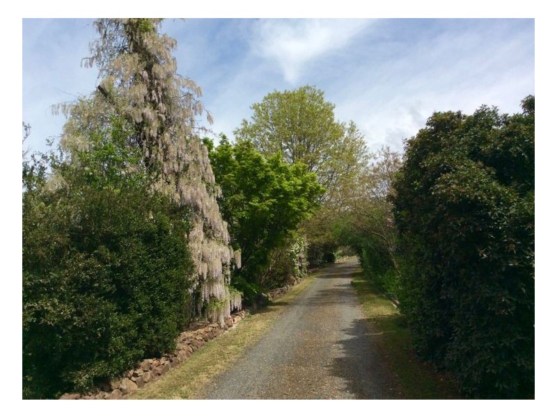 56 Heathersleigh Rd, Armidale NSW 2350