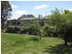 133 Mount Mitchell Road, Armidale NSW 2350