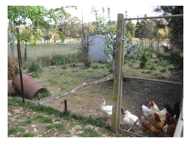 133 Mount Mitchell Road, Armidale NSW 2350