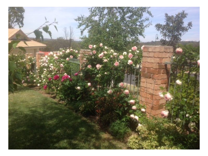 8 Norris Drive, Armidale NSW 2350