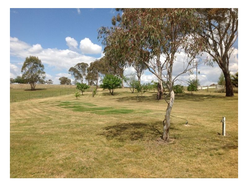 3 Balcony, Guyra NSW 2365