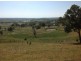 84 Old Gostwyck Rd, Armidale NSW 2350