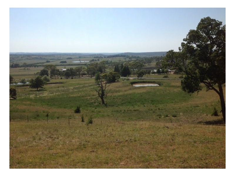 84 Old Gostwyck Rd, Armidale NSW 2350