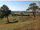 84 Old Gostwyck Rd, Armidale NSW 2350