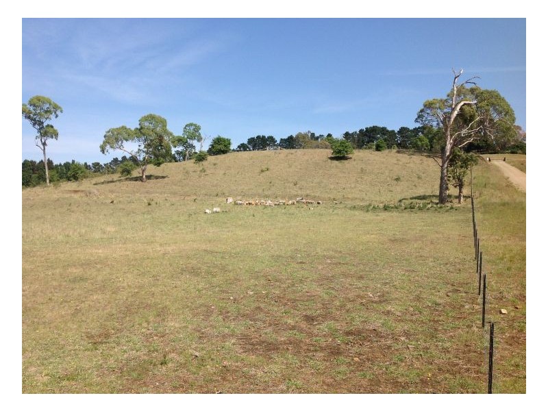 98 Gostwyck Rd, Armidale NSW 2350