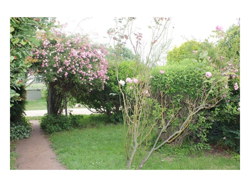 157. Llangothlin, Guyra NSW 2365