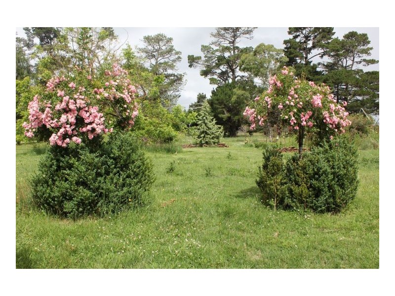 157. Llangothlin, Guyra NSW 2365