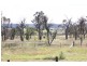 36 Mccannas Road, Armidale NSW 2350
