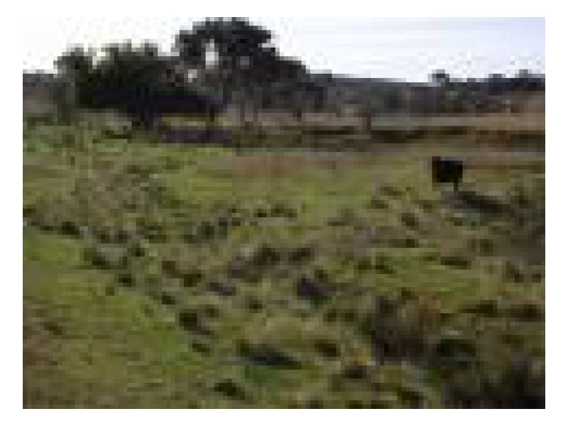 192 Dumaresq Road, Saumarez Ponds NSW 2350