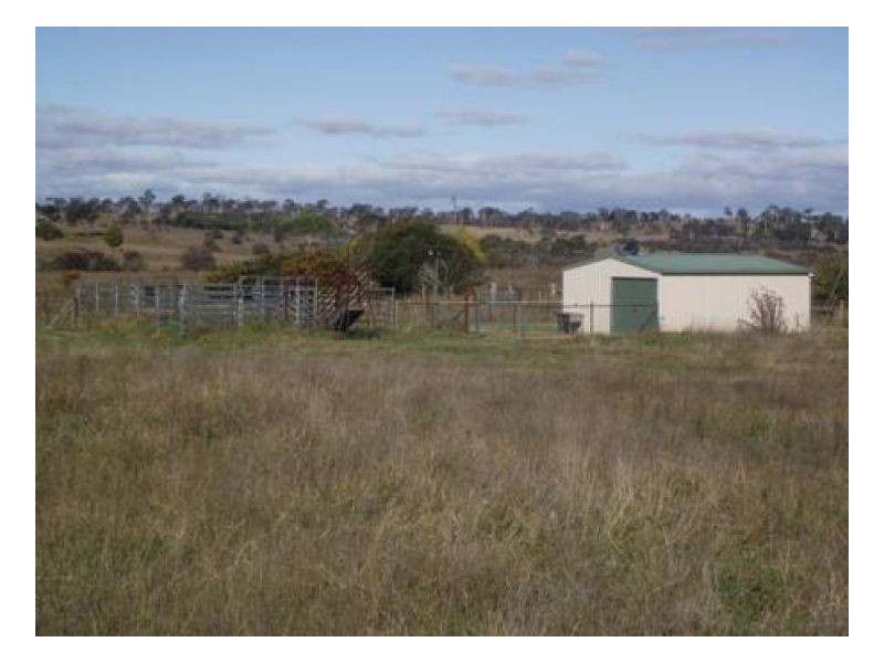 192 Dumaresq Road, Saumarez Ponds NSW 2350