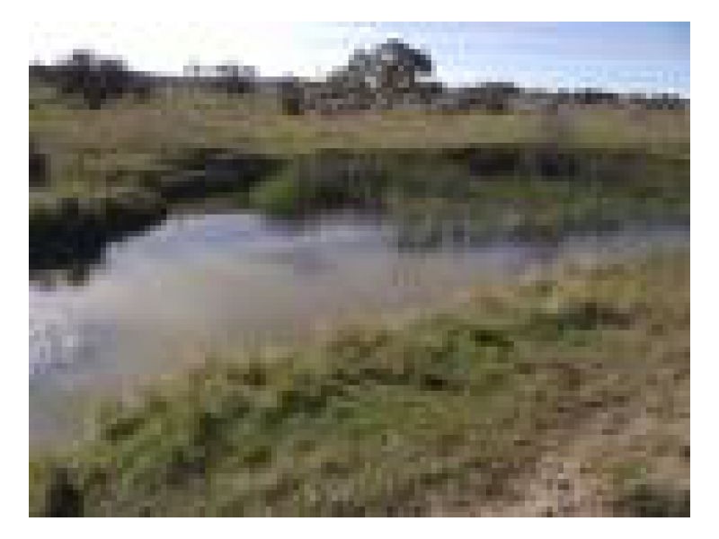 192 Dumaresq Road, Saumarez Ponds NSW 2350