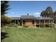 133. Mount Mitchell Road, Invergowrie NSW 2350